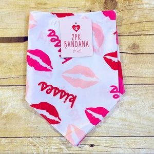 Set of 2 Dog Bandanas